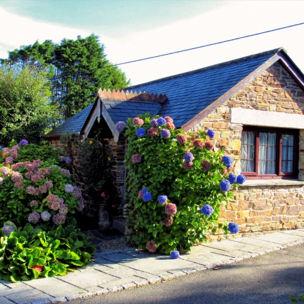 Wild Flower Holiday Cottage, Newquay, Cornwall