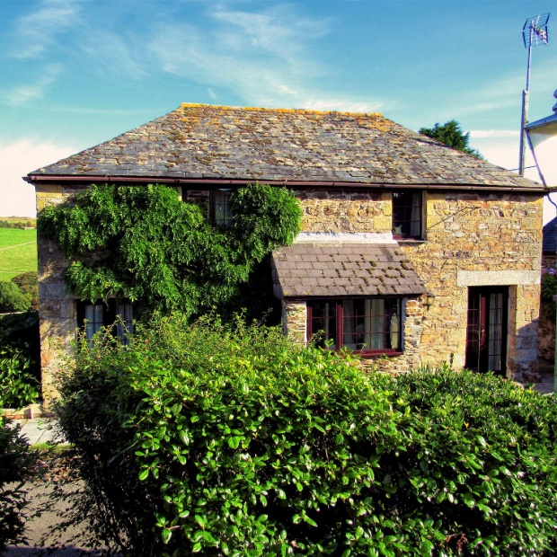 Barn Owl Cottage & Surrounding Greenery