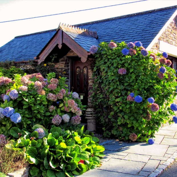 Wildflower Holiday Cottage in Bloom