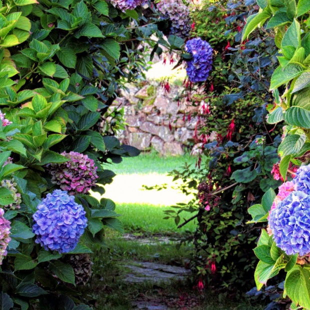 Wildflower Holiday Cottage Secret Garden Path