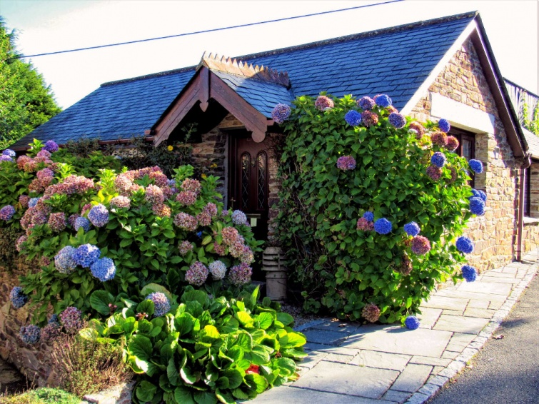 Wildflower Holiday Cottage in Bloom