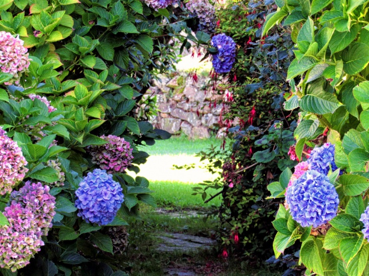 Wildflower Holiday Cottage Secret Garden Path